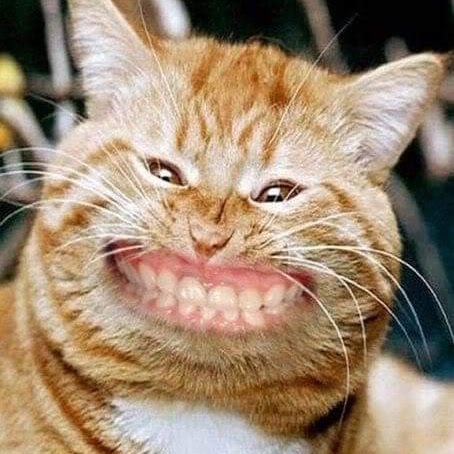 Lori Jensen Photo 18