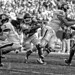 Michael Stull Photo 14