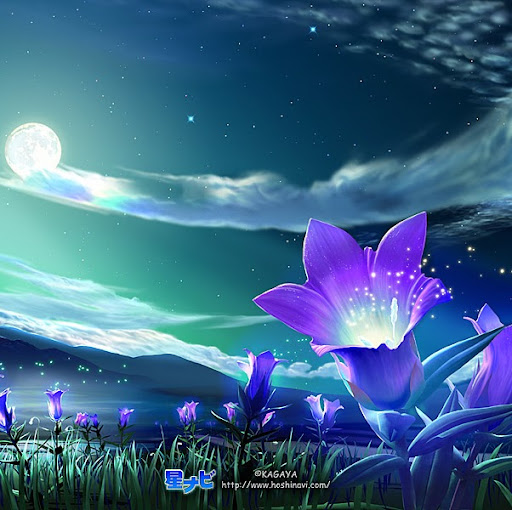 Duc Le Photo 15