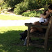 Debbie Peck Photo 12