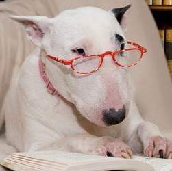 Donna Fields Photo 9