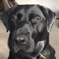 Susan Murray Photo 39 Susan Murray Photo 39