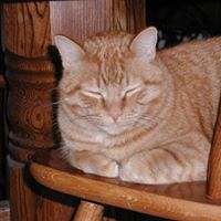 Kathy Olson Photo 5