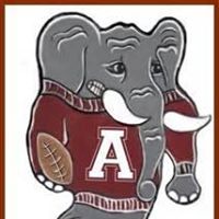 Teresa Robison Photo 28