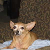 Jennifer Wagoner Photo 28