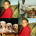Roberto Gomes Photo 3