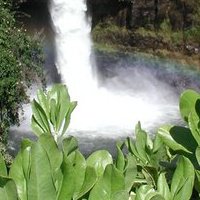 Katherine Mercer Photo 15