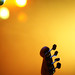 Laurie Barnett Photo 31