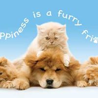 Kimberly Milburn Photo 20