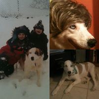 Tracy Driver Photo 11