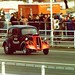 Alan Conner Photo 38