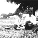 Roy Strong Photo 28