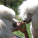 Anne Bailey Photo 39