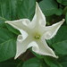 Tracy Speck Photo 15