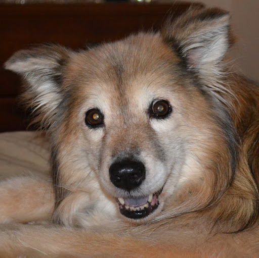 Teresa Rodgers Photo 34