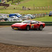 Tracey Haynes Photo 31