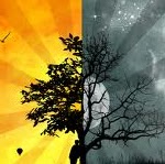 Shawn Staggs Photo 17