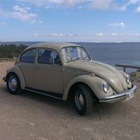 Terry Poole Photo 18 Terry Poole Photo 18