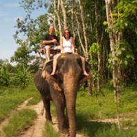 Carol Hedges Photo 28