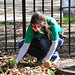 Melissa Hopkins Photo 13