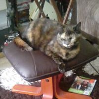 Christine Bowen Photo 41