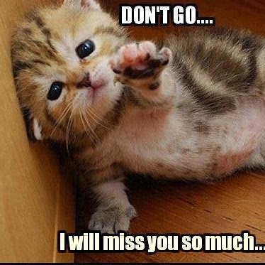 Bryan Wells Photo 34