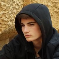 Leo Farber Photo 10