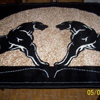 Therese Taylor Photo 8