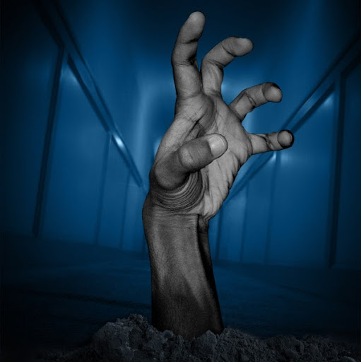 Carlos Webster Photo 20