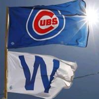 Mark Macgregor Photo 18