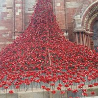 Louise Mcwilliams Photo 7