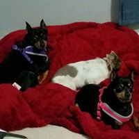 Kathleen Gordon Photo 29