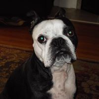 Kathleen Deal Photo 3