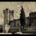 John Benavente Photo 32