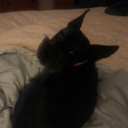 Dee Mccarthy Photo 12