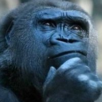 George Barbour Photo 21