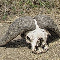 Paul Weiss Photo 38 Paul Weiss Photo 38