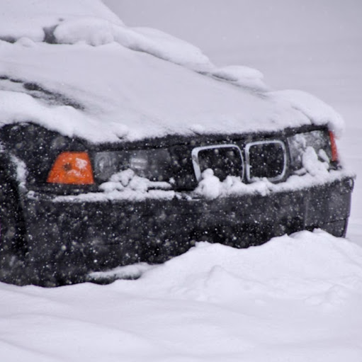 Michael Harrington Photo 50