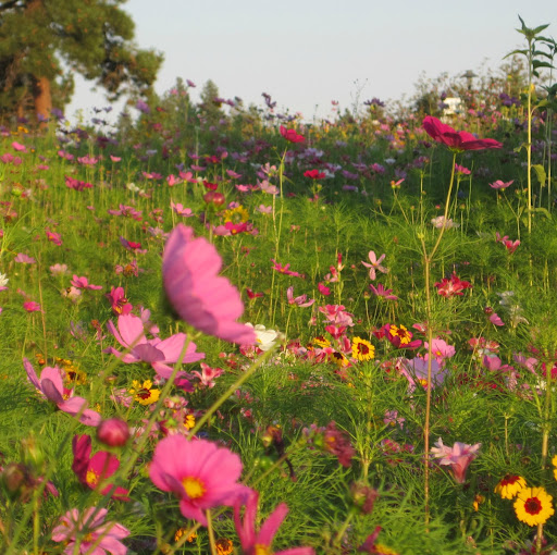 Karen Workman Photo 18