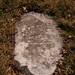 Jan Potts Photo 24