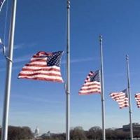 Darlene Wolfe Photo 32