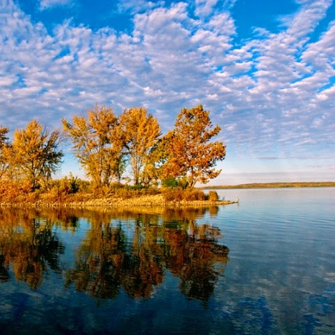 Leah Coleman Photo 8