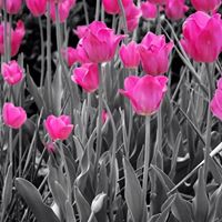 Amber Robins Photo 25