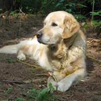 Tracy Moulton Photo 10