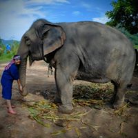 Sandra Benavides Photo 25