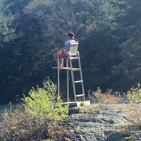 Michael Collier Photo 42 Michael Collier Photo 42