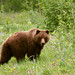 Chad Haines Photo 30