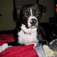 Denise Mccarty Photo 13