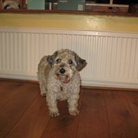 Pauline Spence Photo 7