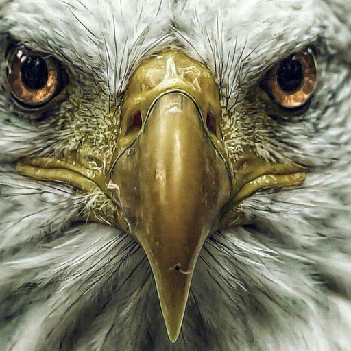 Jerry Kirby Photo 34